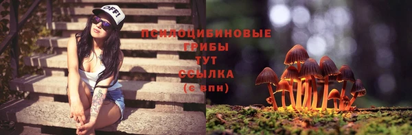 ешки Гусев