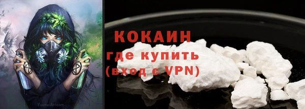 ешки Гусев