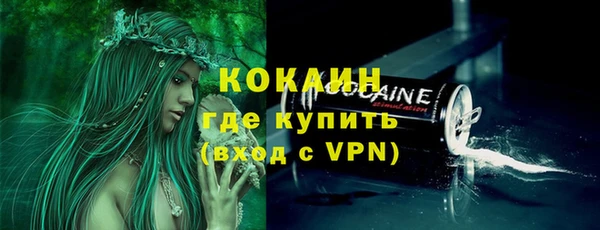 ешки Гусев