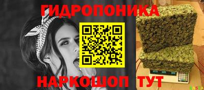 кокс Гай