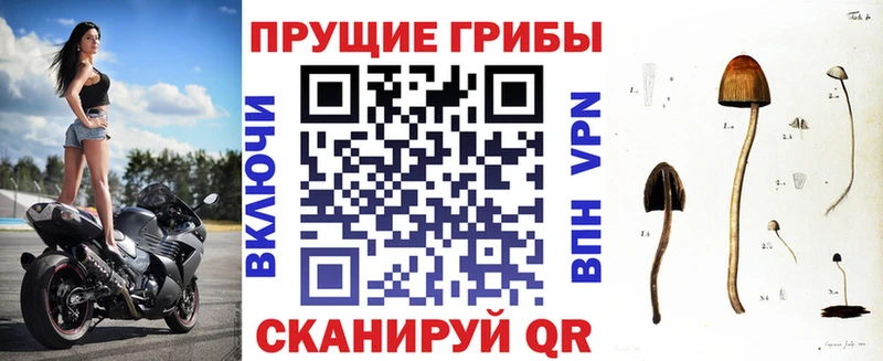 Галлюциногенные грибы прущие грибы  МЕГА   Сегежа  где можно купить  