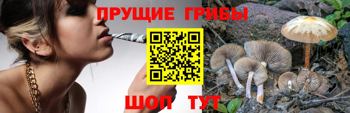 Псилоцибиновые грибы ЛСД  Вход с VPN  Псилоцибиновые грибы прущие грибы  Сегежа 