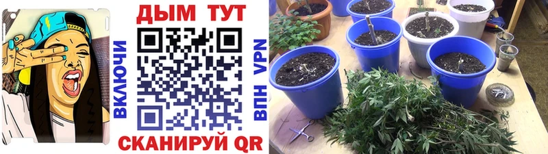магазин продажи наркотиков shop формула Каннабис планчик Сегежа